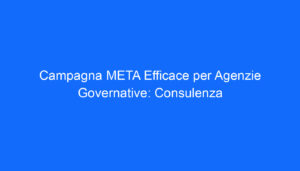 campagna meta efficace per agenzie governative consulenza