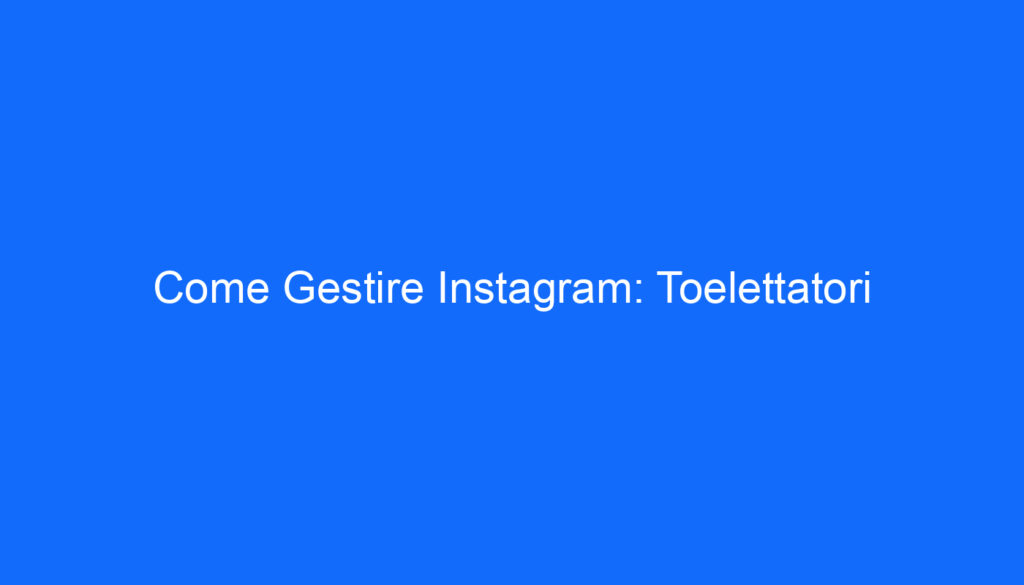 Come Gestire Instagram: Toelettatori