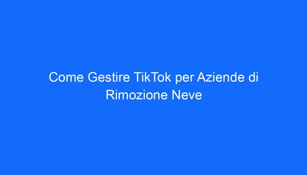 come gestire tiktok per aziende di rimozione neve