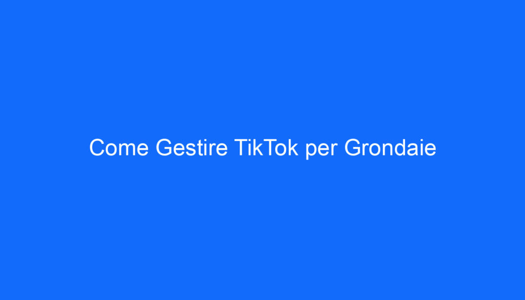 Come Gestire TikTok per Grondaie