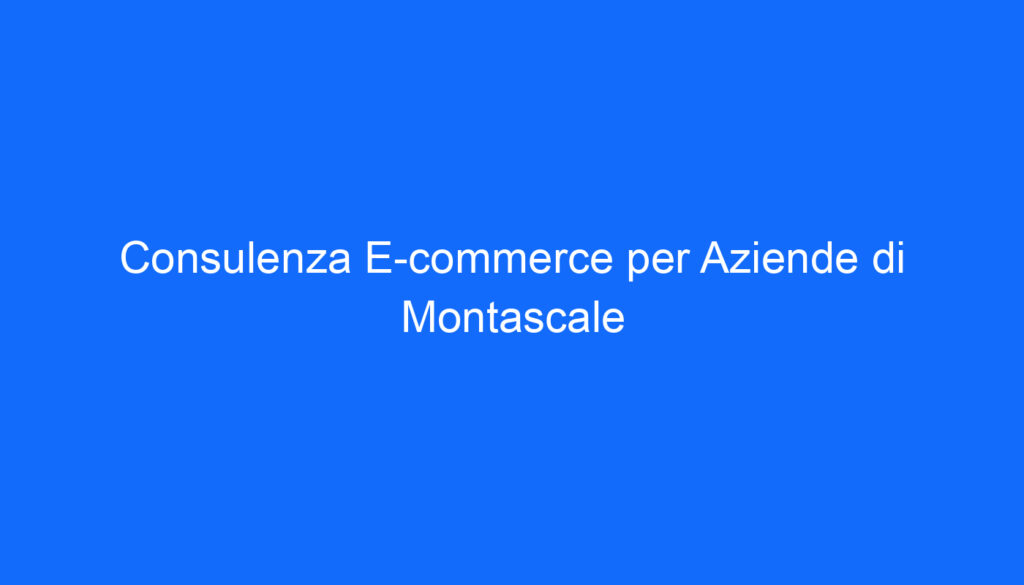 Consulenza E commerce per Aziende di Montascale