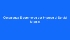 Consulenza E commerce per Imprese di Servizi Idraulici