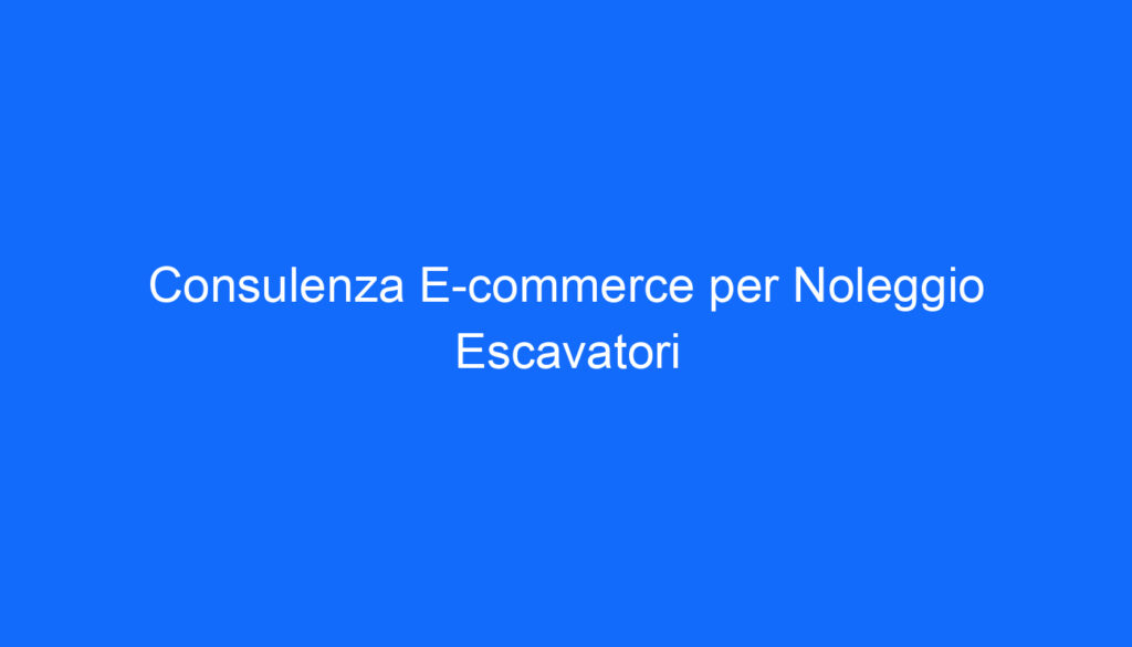 Consulenza E commerce per Noleggio Escavatori