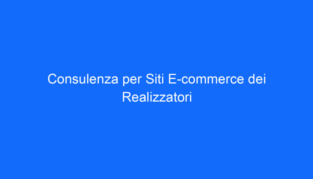 Consulenza per Siti E commerce dei Realizzatori