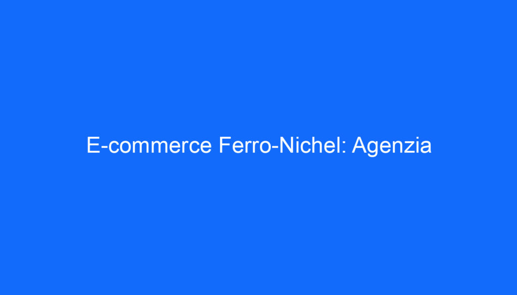 E commerce Ferro Nichel: Agenzia