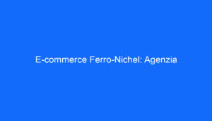 E commerce Ferro Nichel: Agenzia