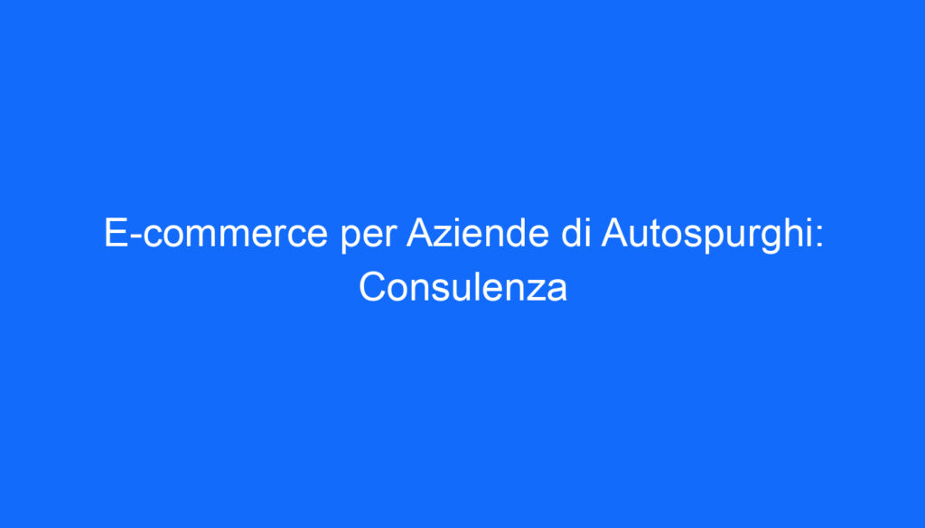 e commerce per aziende di autospurghi consulenza