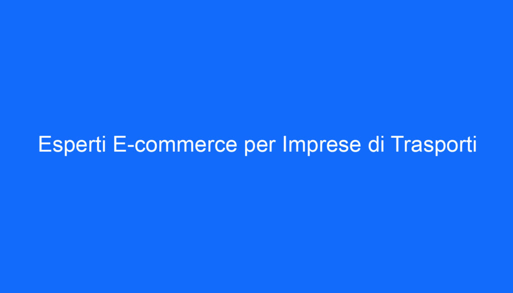 Esperti E commerce per Imprese di Trasporti