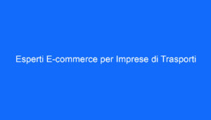 Esperti E commerce per Imprese di Trasporti