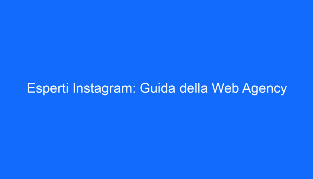 Esperti Instagram: Guida della Web Agency