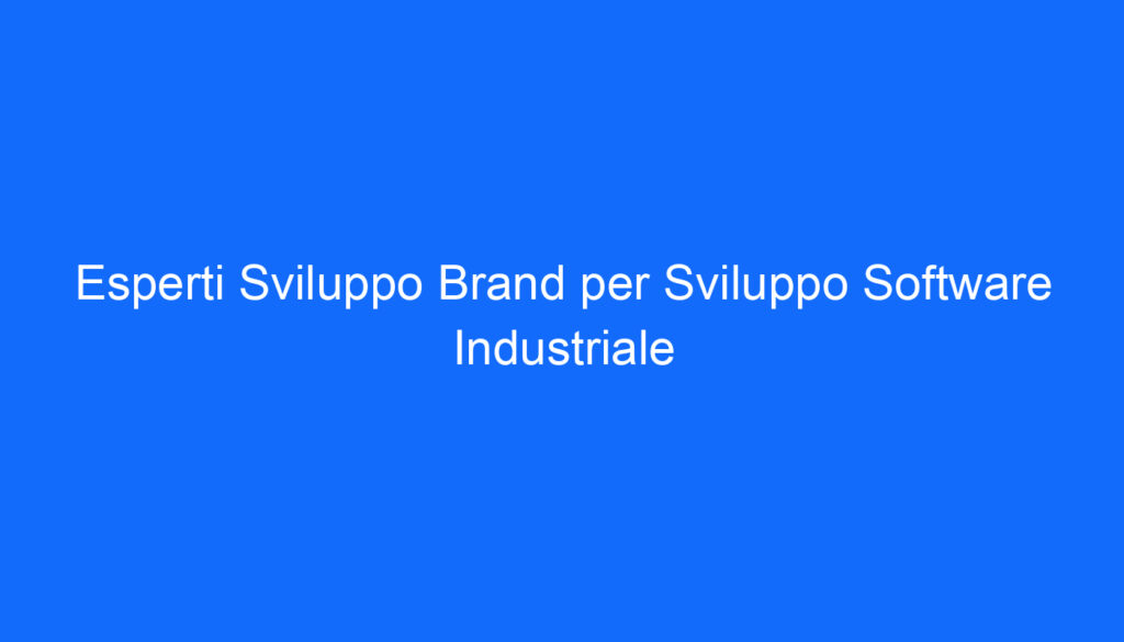 Esperti Sviluppo Brand per Sviluppo Software Industriale