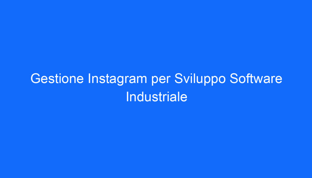 Gestione Instagram per Sviluppo Software Industriale