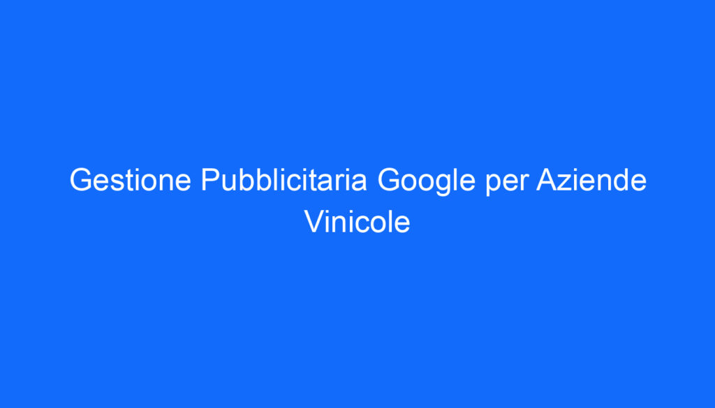 Gestione Pubblicitaria Google per Aziende Vinicole