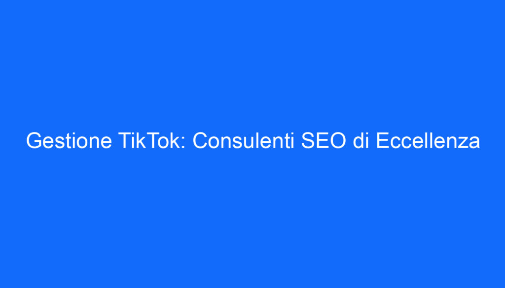 Gestione TikTok: Consulenti SEO di Eccellenza