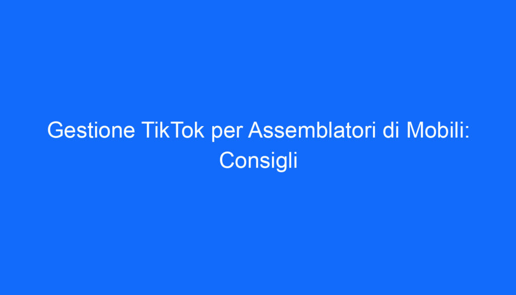 gestione tiktok per assemblatori di mobili consigli