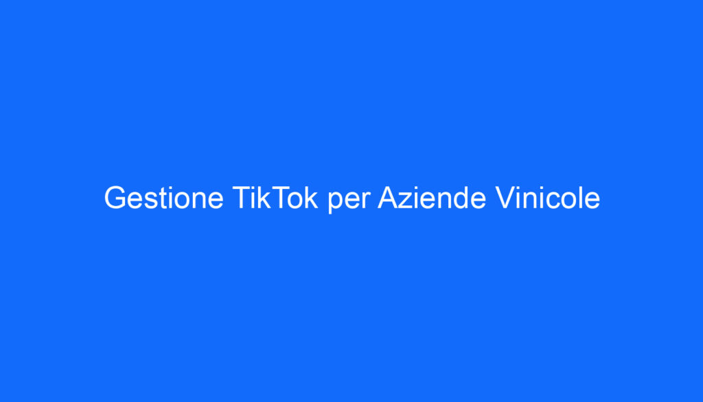 Gestione TikTok per Aziende Vinicole