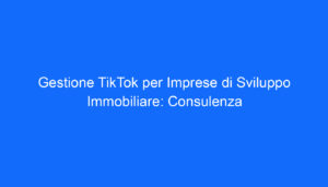 gestione tiktok per imprese di sviluppo immobiliare consulenza