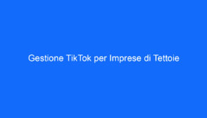 Gestione TikTok per Imprese di Tettoie