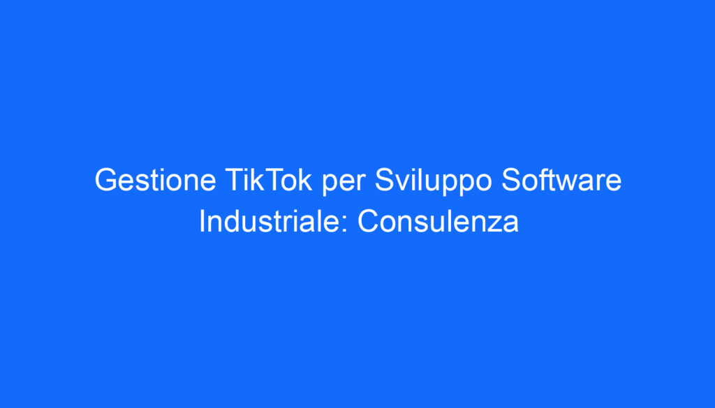 gestione tiktok per sviluppo software industriale consulenza