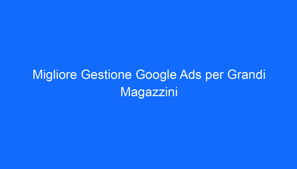 Migliore Gestione Google Ads per Grandi Magazzini