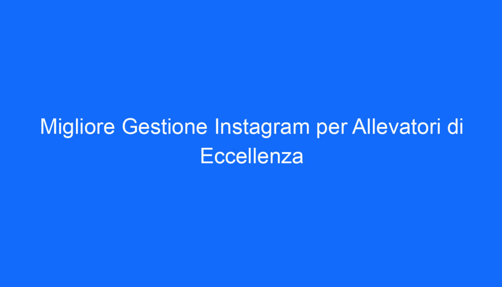 migliore gestione instagram per allevatori di eccellenza