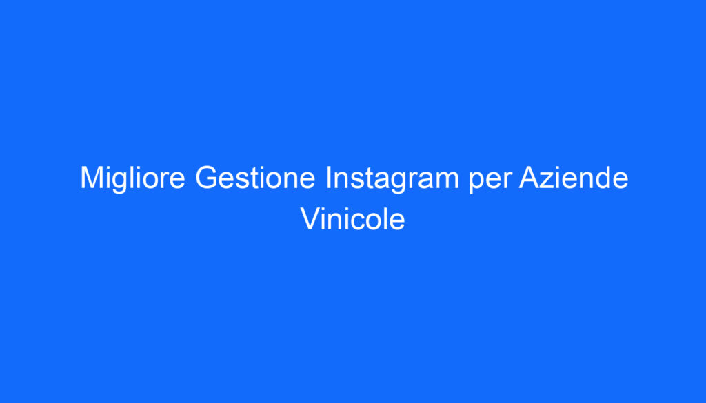 Migliore Gestione Instagram per Aziende Vinicole