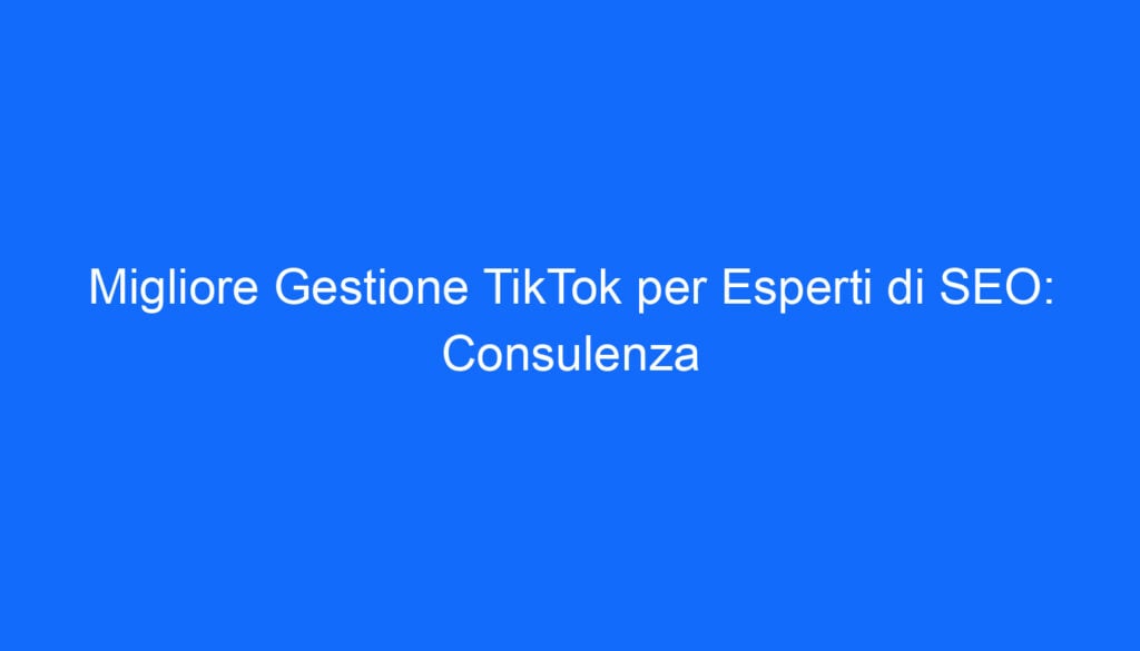 Migliore Gestione TikTok per Esperti di SEO: Consulenza
