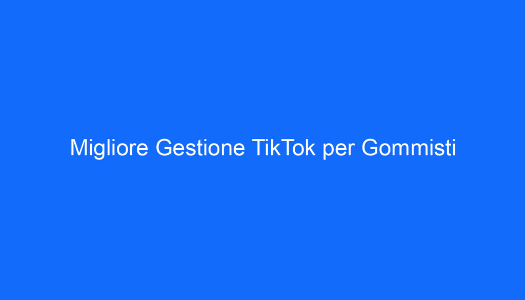 migliore gestione tiktok per gommisti
