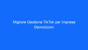 Migliore Gestione TikTok per Imprese Demolizioni