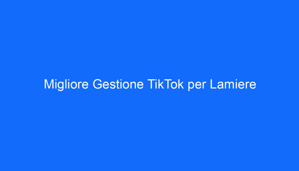 Migliore Gestione TikTok per Lamiere