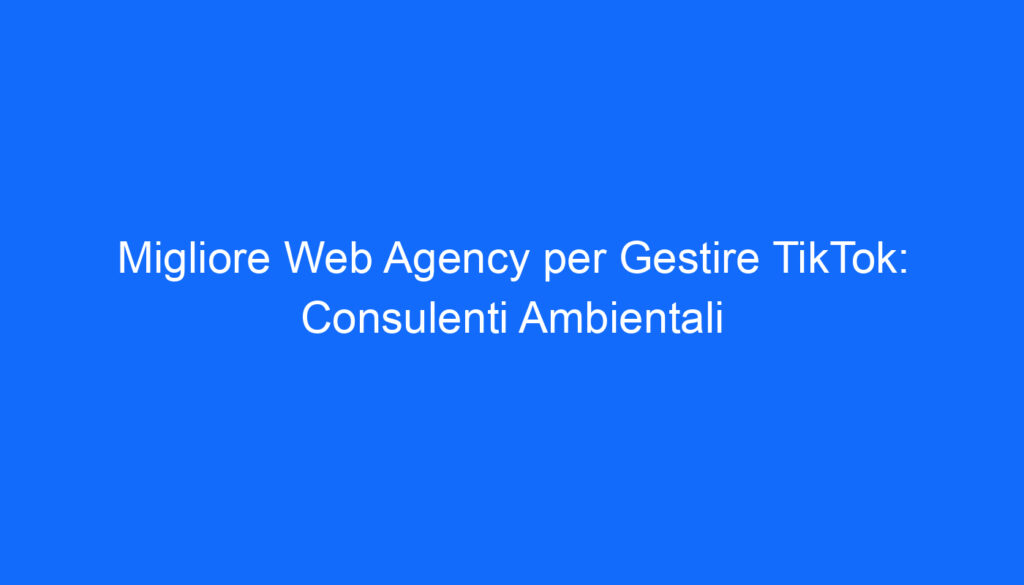 migliore web agency per gestire tiktok consulenti ambientali