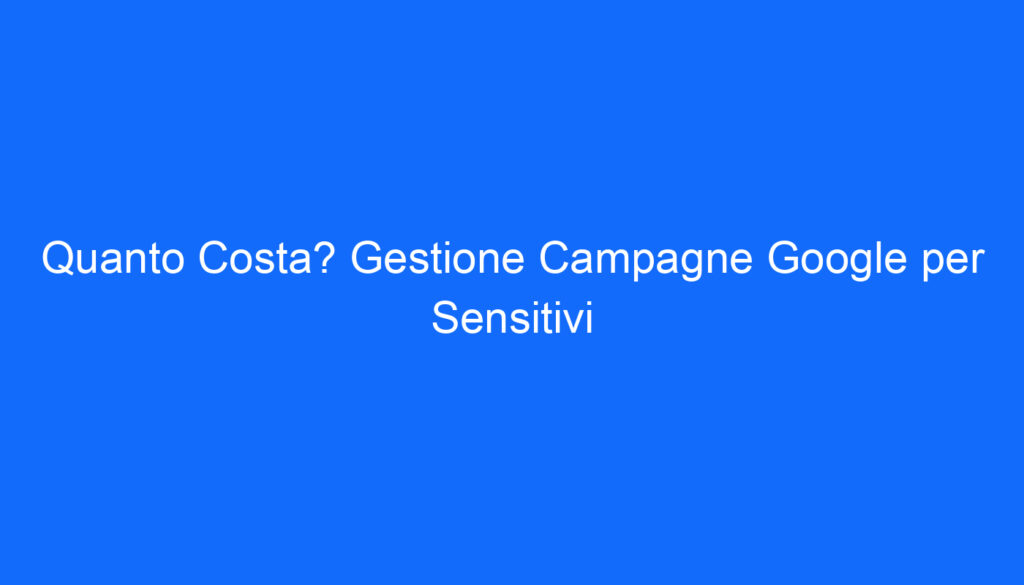 Quanto Costa? Gestione Campagne Google per Sensitivi