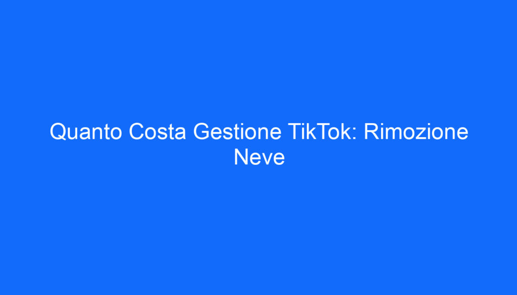 Quanto Costa Gestione TikTok: Rimozione Neve