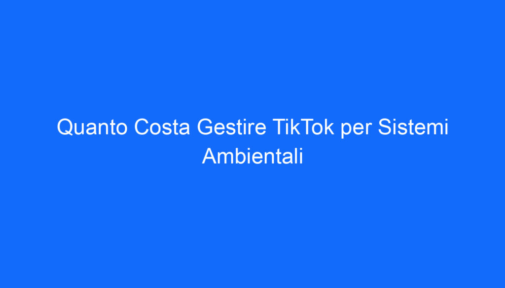 quanto costa gestire tiktok per sistemi ambientali