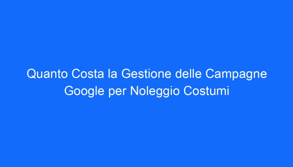 Quanto Costa la Gestione delle Campagne Google per Noleggio Costumi