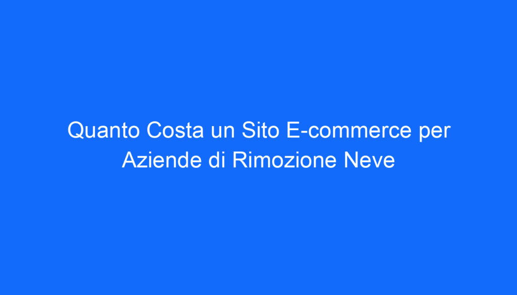 Quanto Costa un Sito E commerce per Aziende di Rimozione Neve
