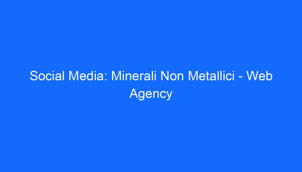 Social Media: Minerali Non Metallici   Web Agency