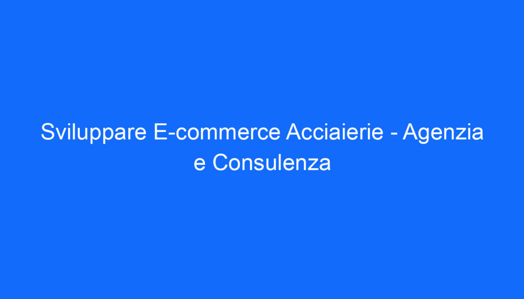Sviluppare E commerce Acciaierie   Agenzia e Consulenza