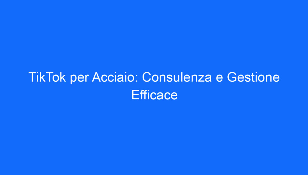 TikTok per Acciaio: Consulenza e Gestione Efficace