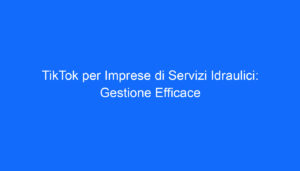 TikTok per Imprese di Servizi Idraulici: Gestione Efficace
