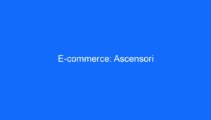E commerce: Ascensori