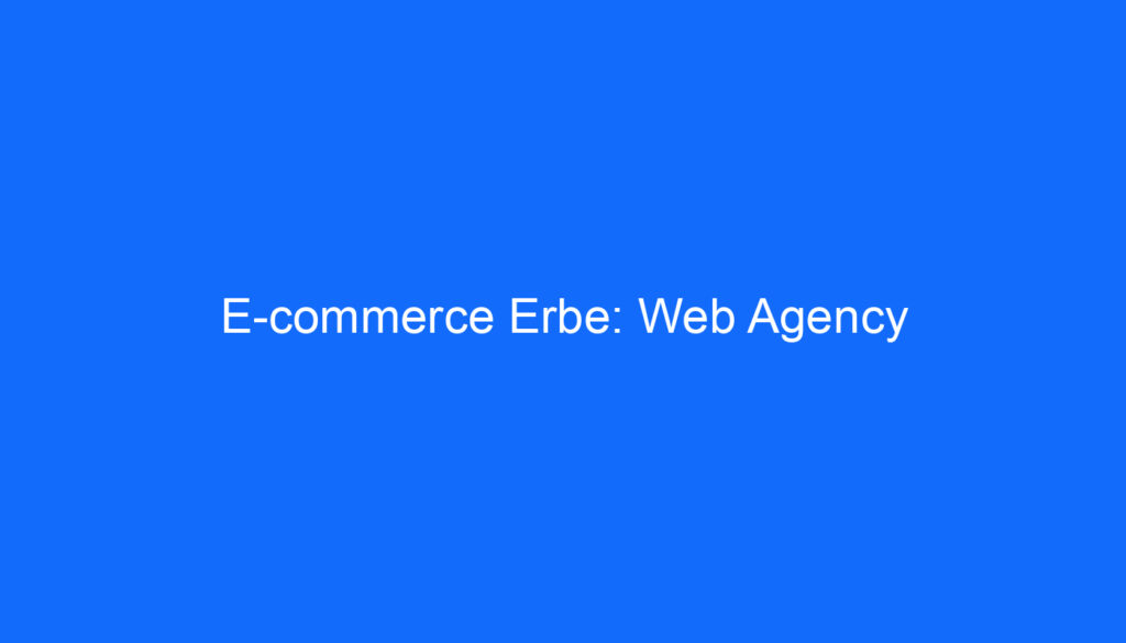 E commerce Erbe: Web Agency