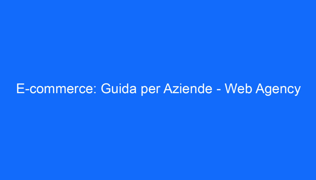 E commerce: Guida per Aziende   Web Agency