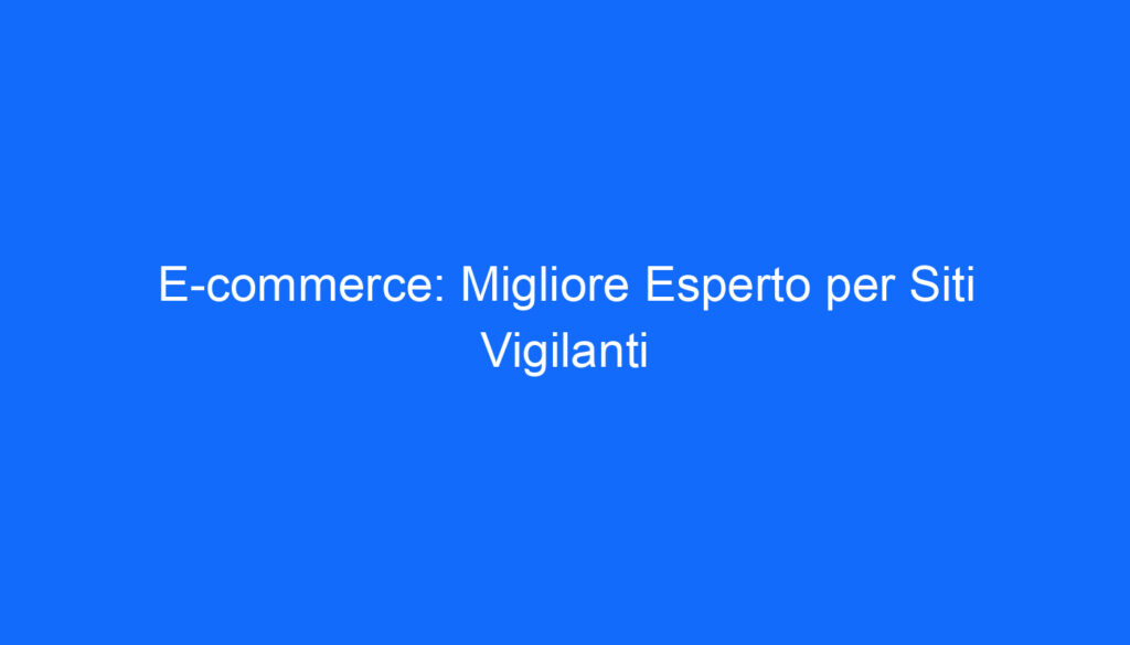 E commerce: Migliore Esperto per Siti Vigilanti