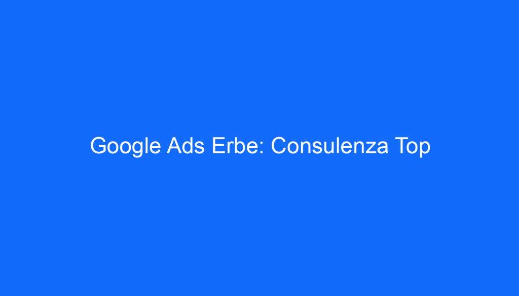 Google Ads Erbe: Consulenza Top