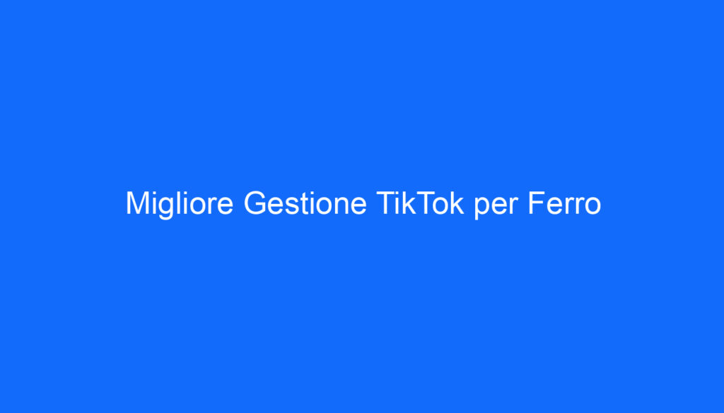 Migliore Gestione TikTok per Ferro