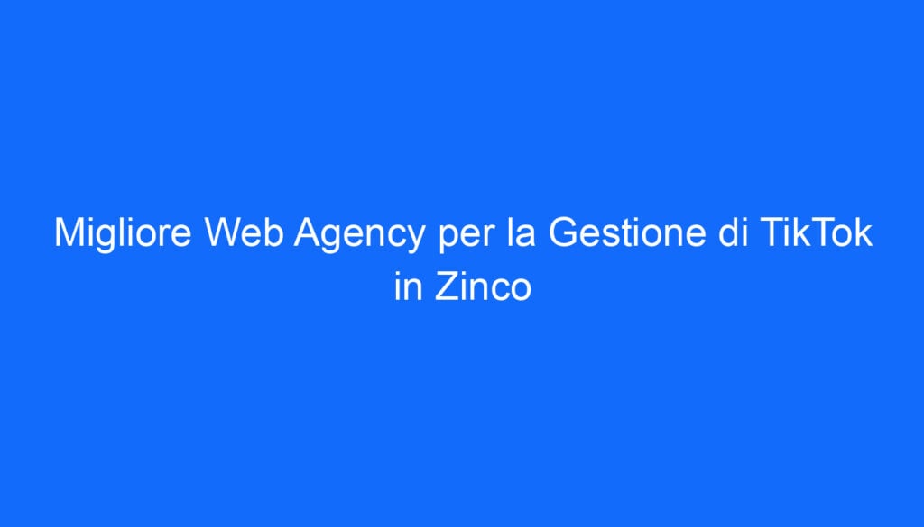 Migliore Web Agency per la Gestione di TikTok in Zinco
