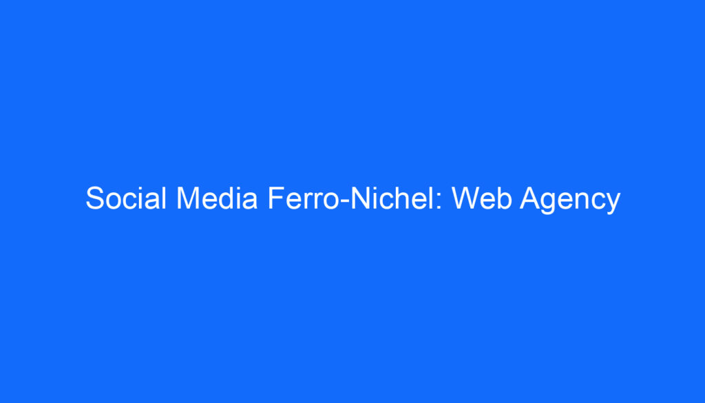 Social Media Ferro Nichel: Web Agency