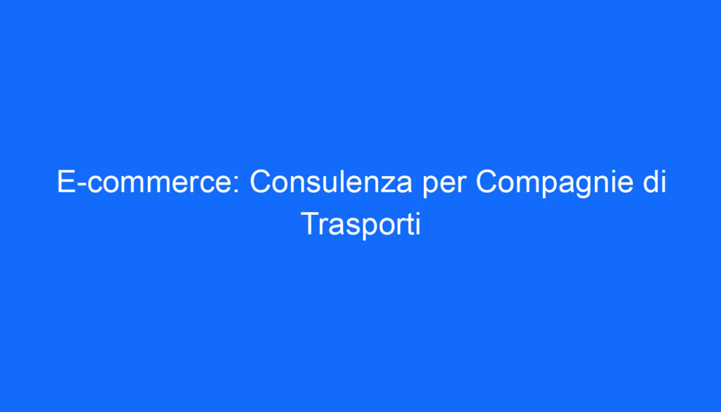 E commerce: Consulenza per Compagnie di Trasporti
