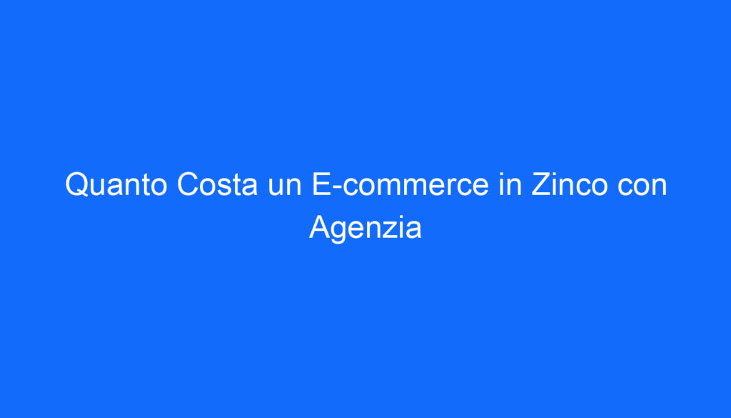 Quanto Costa un E commerce in Zinco con Agenzia